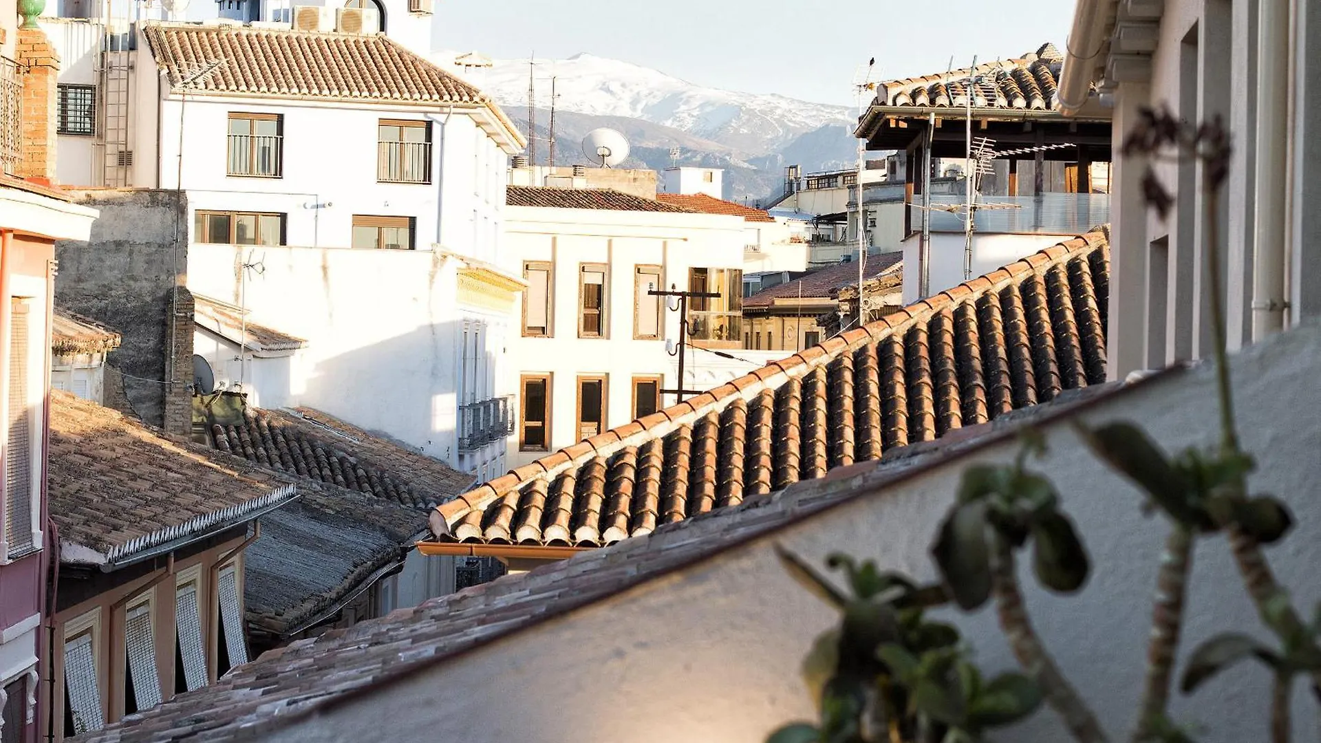 Bibrambla Penthouse Over Cathedral Apartment Granada